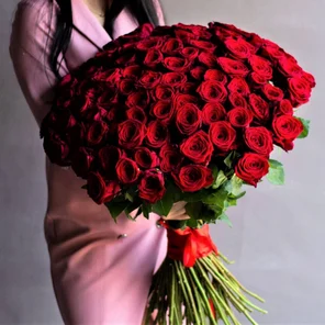 Алый восторг