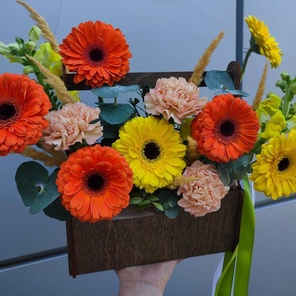 Солнечная гербера