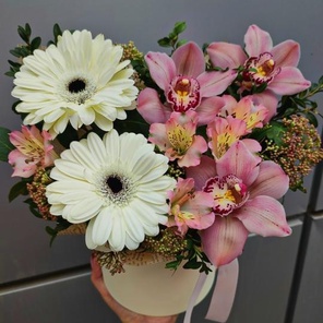 Светлые мечты