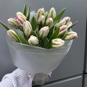 Утренний иней