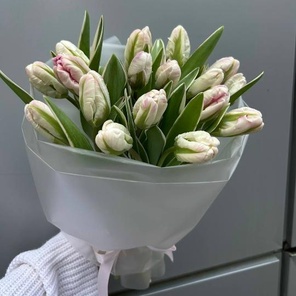 Утренний иней