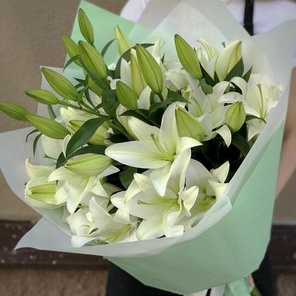 Очарование лилии