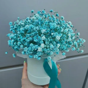 Облако из гипсофилы