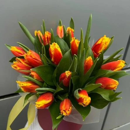 Искры радости