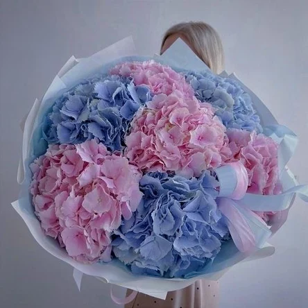 Гортензиевые грезы