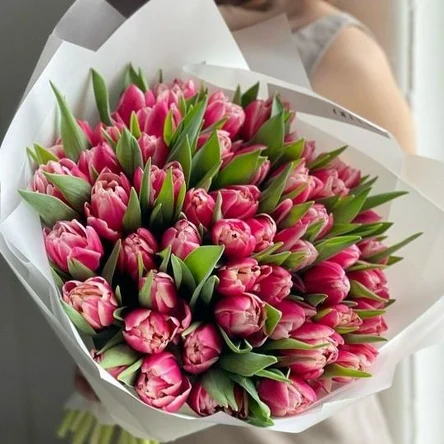 55 пионовидных тюлпанов