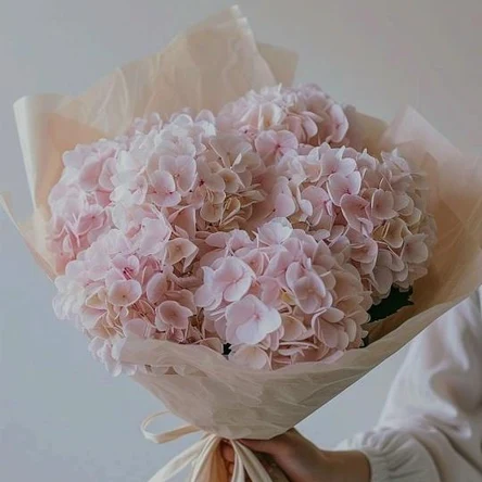 Облако любви