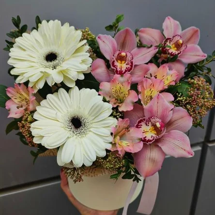 Светлые мечты