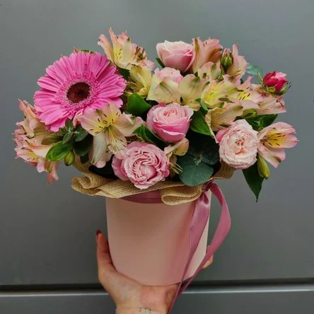 Одинокая гербера