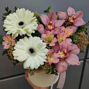 Светлые мечты