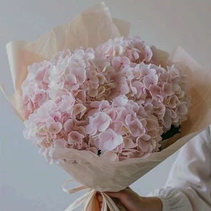 Облако любви