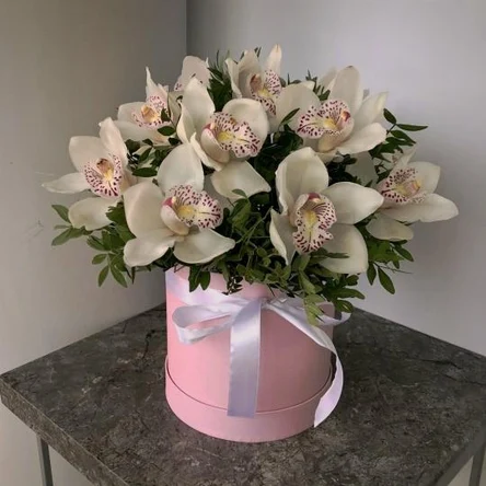 Экзотический сон