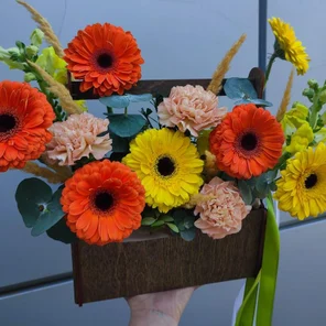 Солнечная гербера