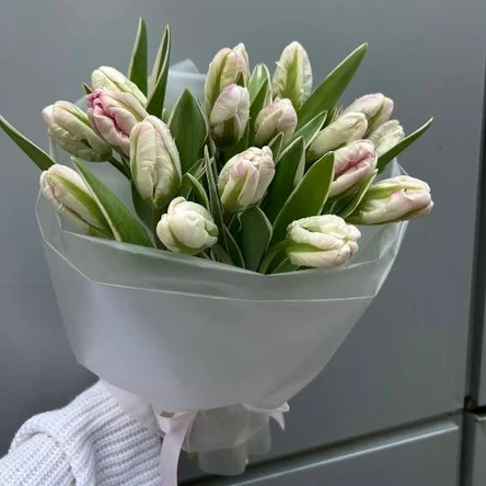 Утренний иней