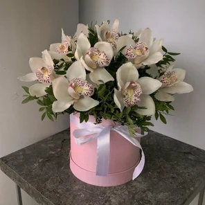 Экзотический сон