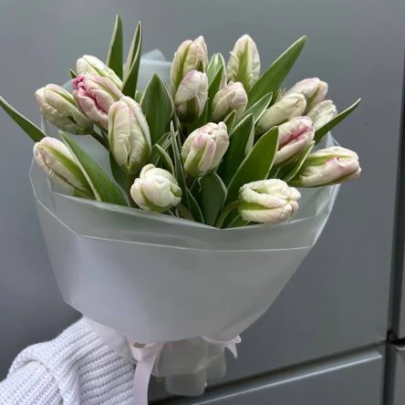 Утренний иней