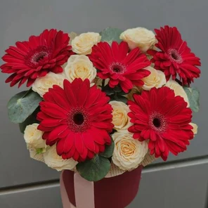 Красное и кремовое